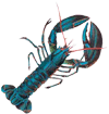 homard