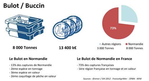quota bulot quota bulot