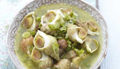 bulots prepares bulot