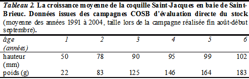 croissance coquille croissance