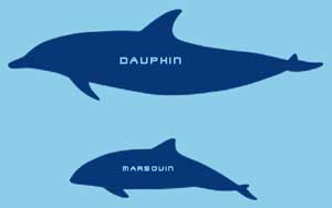 dauphin
