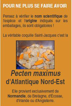 vrai st jacques pirate